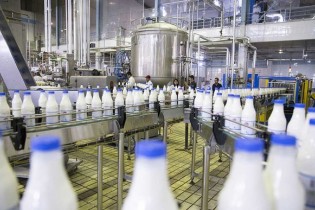 دل پُر تولیدکنندگان از کمبود شیر
