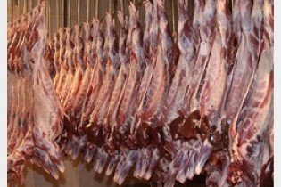 توزیع گوشت وارداتی 40 هزار تومانی