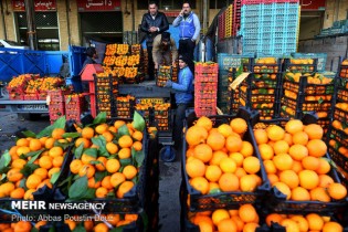 جزئیات انواع میوه و سبزی در میدان مرکزی/افزایش قیمت پرتقال