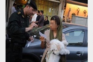 سگ‌گردانی در تهران ممنوع شد/با خاطیان به شدت برخورد می شود