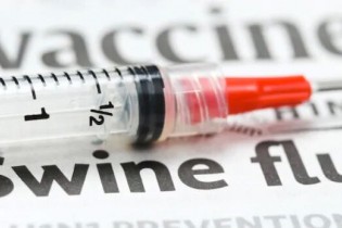 افزایش قربانیان آنفلوآنزای خوکی در هند