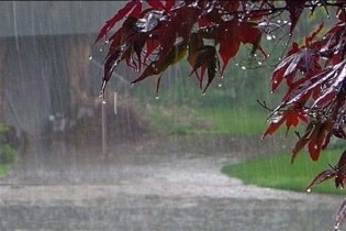 افزایش ۲۰ درصدی بارش در کشور/ بارندگی‌ها در ۷ استان منفی است