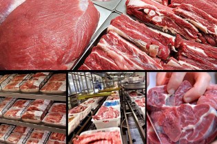 جزئیات شیوه توزیع گوشت تنظیم بازاری/ عرضه گوشت به یارانه بگیران