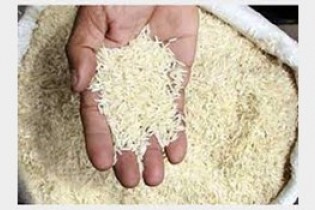نگرانی در بازار برنج بدلیل انتشار یک شایعه دروغ