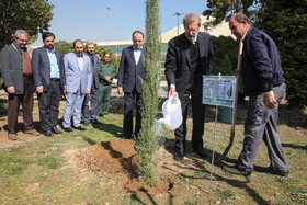 کاشت درخت در مجلس توسط علی لاریجانی
