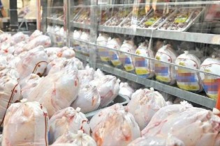 قیمت مرغ در بازار ۴۷ درصد بالاتر از نرخ مصوب!