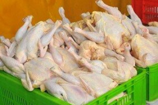 تشدید نظارت مستمر بر بازار عرضه مرغ در پایتخت