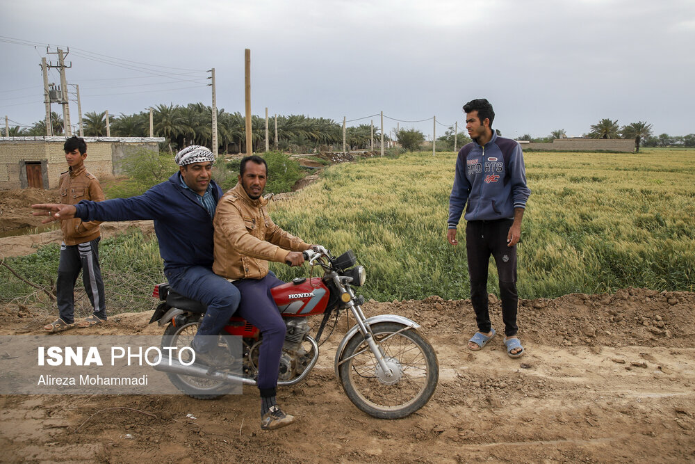 ساخت سیل بند بر روی کارون در روستای ملیحان اهواز