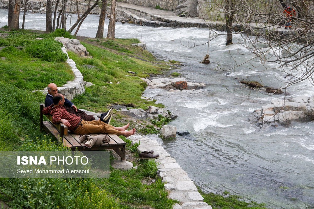 روز طبیعت در بوستان های ملت و وکیل آباد مشهد
