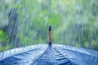 تداوم بارش رگباری در جنوب کشور