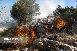 آتش‌سوزی منطقه حفاظت شده "خائیز" تحت کنترل است