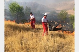 گزارش تصویری از آتش سوزی مراتع روانسر