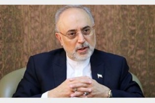 صالحی: شرط خروج از تنش میان ایران و آمریکا، لغو تحریم هاست