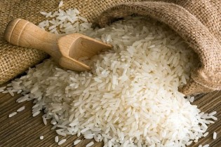 جزئیات نامه‌نگاری نوبخت با وزیر اقتصاد/واردات برنج همچنان ممنوع!