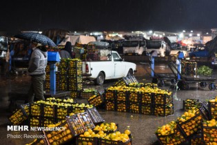 سال گذشته هر ۲۶ روز یک بازار میوه و تره بار در پایتخت افتتاح شد