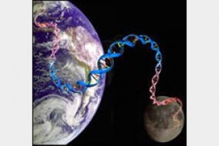 ارسال DNA انسان به ماه تنها با ۹۹ دلار