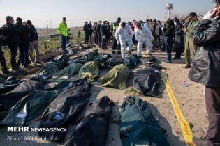 شناسایی ۵۰ پیکر جان باختگان حادثه سقوط هواپیمای اوکراینی