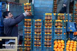 کرونا، مانع گرانی قیمت میوه شد/افزایش ۴۰ درصدی قیمت پیاز