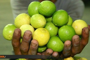 بازار لیموترش و لیموشیرین آرام می‌گیرد؟