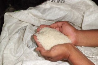 هیچ توجیهی برای افزایش قیمت برنج وجود ندارد