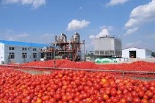 صادرات رب گوجه فرنگی تا اطلاع ثانوی آزاد است