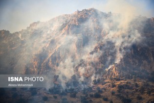 هیچ فردی در رابطه با آتش سوزی جنگل‌های خائیز دستگیر نشده است