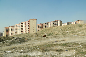 در خیابان هاشمی‌زاده که مابین خیابان شهران و کوهسار قرار داردُ مجتمعی مسکونی به نام شهرک اوپی‌جی قرار دارد که بزرگ‌ترین مجتمع مسکونی این محله است.