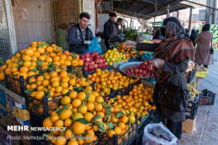 افتتاح ۸ بازار جدید میوه و تره بار در پایتخت