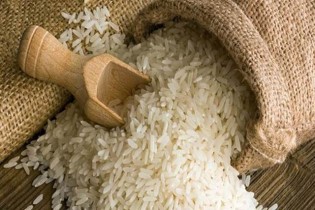 احتمال کمبود برنج خارجی در کشور/مخالفت وزارت جهاد با حذف دوره ممنوعیت واردات برنج