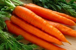 علت اصلی گران شدن هویج از زبان رئیس اتحادیه میوه و سبزی فروشان