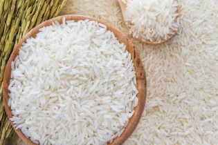توزیع ۱۰۰ هزار تن برنج خارجی در سطح کشور از امروز آغاز می شود