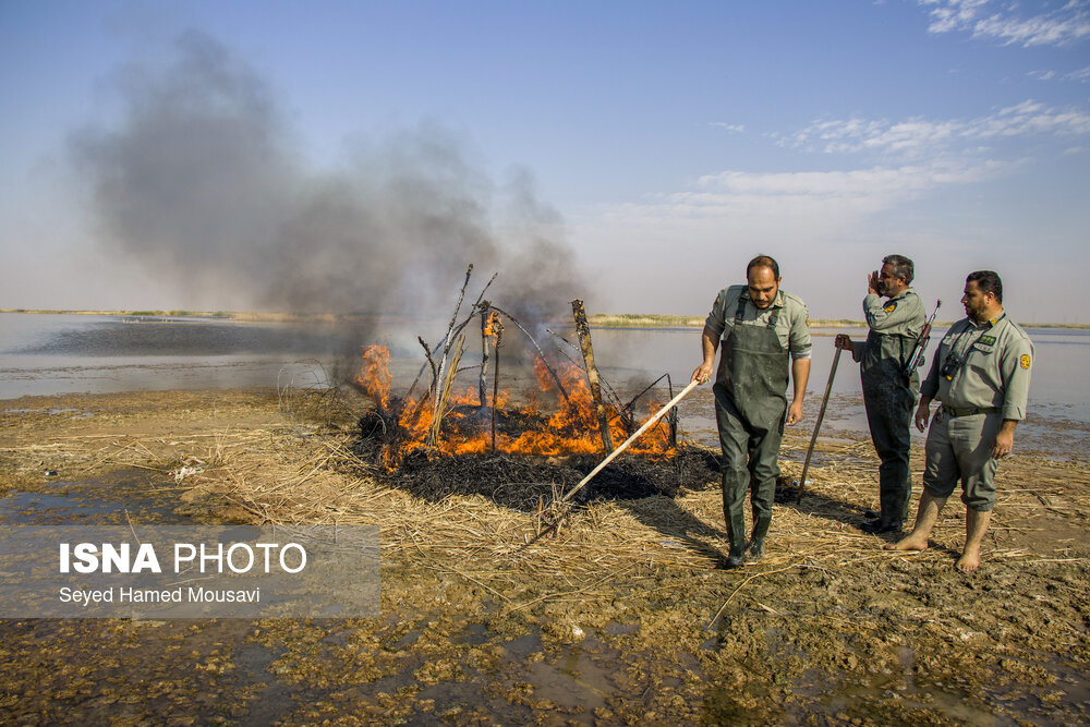 محمیه‌ها «تالاب‌های دست ساز» به قتلگاه پرندگان مهاجر که میهمانان تالاب هورالعظیم در خوزستان هستند تبدیل شده‌اند و بسیاری از پرندگان در این دامگاه‌ها گرفتار می‌شوند.