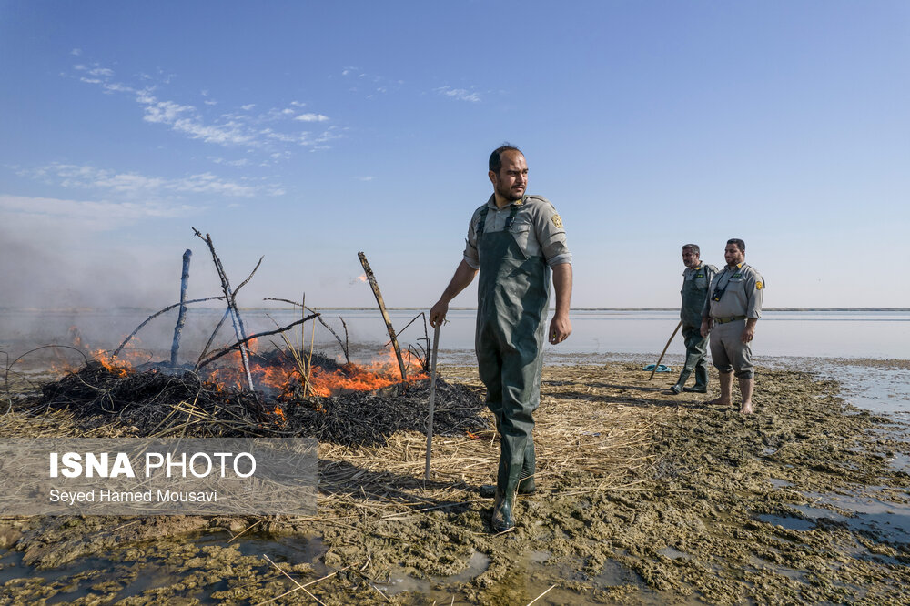 محمیه‌ها «تالاب‌های دست ساز» به قتلگاه پرندگان مهاجر که میهمانان تالاب هورالعظیم در خوزستان هستند تبدیل شده‌اند و بسیاری از پرندگان در این دامگاه‌ها گرفتار می‌شوند.