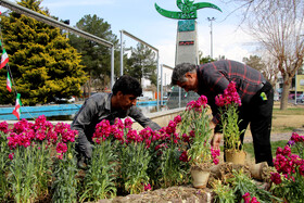 گل فروشی جهت مراسم عید نوروز در بیرجند