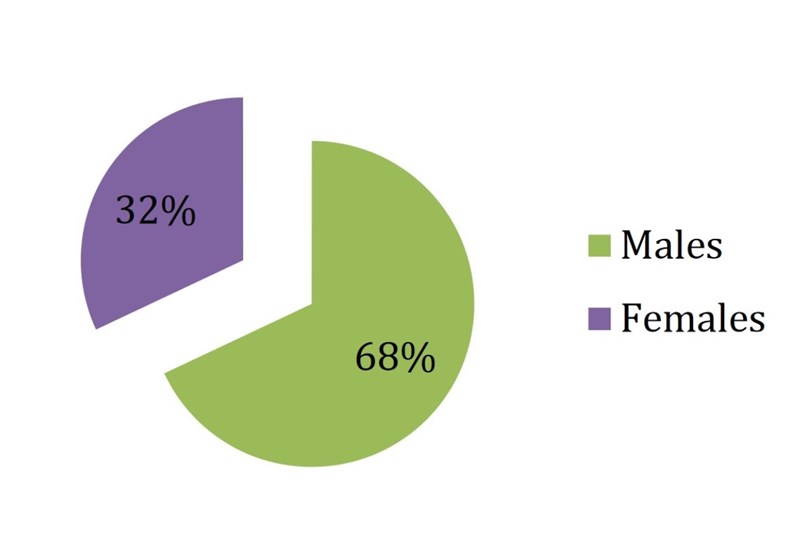 نگاهی آماری به حضور زنان در هالیوود +نمودار