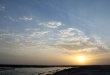 تصاویر/ زنده‌شدن گاوخونی پس از 10سال  <img src="/images/picture_icon.gif" width="16" height="13" border="0" align="top">