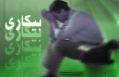 رونمایی از مدل جدید تامین مالی اشتغال