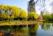تصاویر/همه چیز درباره شهر مذاکرات <img src="/images/picture_icon.gif" width="16" height="13" border="0" align="top"> تصاویر/همه چیز درباره شهر مذاکرات <img src="/images/picture_icon.gif" width="16" height="13" border="0" align="top">