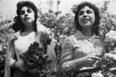 دوره ای که  تهران با بحران کمبود «زن» مواجه بود  <img src="/images/picture_icon.gif" width="16" height="13" border="0" align="top">