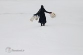 تصاویر / برف و سرمای کُشنده در کابل