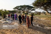 تصاویر / ایران زیباست؛ «چاهکوه» تصویری از وهم‌وخیال  <img src="/images/picture_icon.gif" width="16" height="13" border="0" align="top">