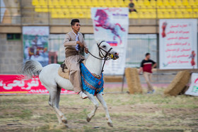 جشنواره ملی اسب کُرد - سنندج