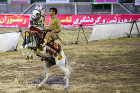 جشنواره ملی اسب کُرد - سنندج