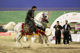 جشنواره ملی اسب کُرد - سنندج