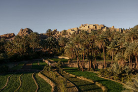 وجود زمین‌های کشاورزی در اطراف روستای نایبند منظره‌ای زیبا برای گردشگران ایجاد کرده است.