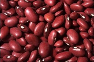 گمرک ایران: ترخیص محموله‌های لوبیا قرمز ممنوع