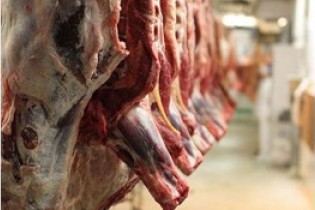 قیمت گوشت قرمز پایین آمد