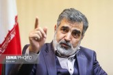 کمالوندی: تحریم صالحی، ایران را برای محکم‌تر برداشتن گام‌های هسته‌ای مصمم می‌کند