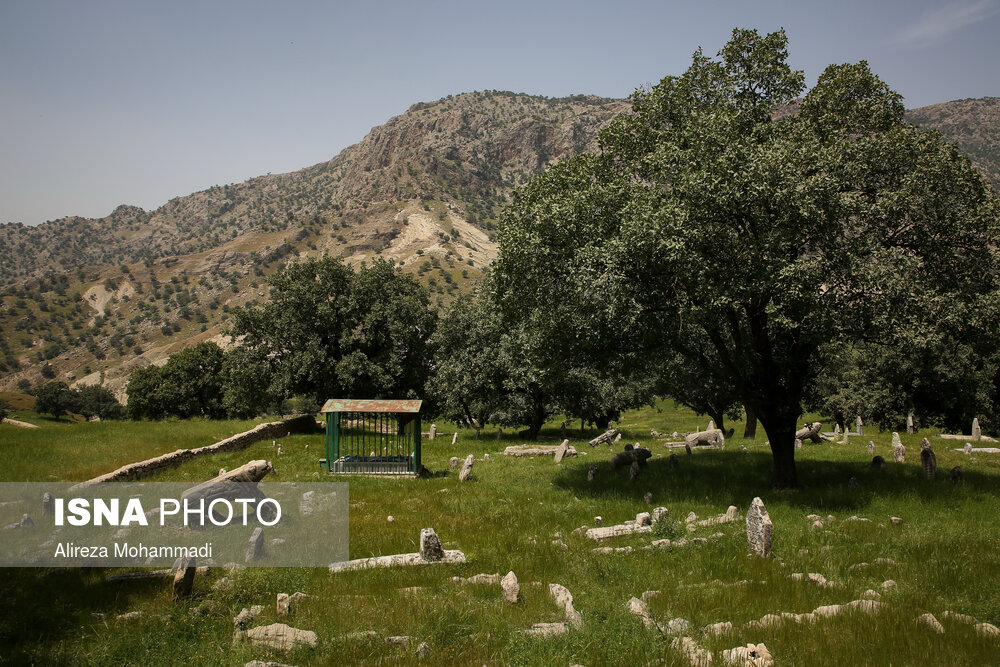 شیر نه تنها نشانگر شجاعت و قدرت جسمانی است بلکه نماد پیروزی در عین فروتنی و همچنین نجابت و معنویت نیز هست. به همین دلایل است که بختیاری ها شیر را به عنوان نماد خود پذیرفته و ارائه کرده اند.