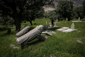 بختیاری ها در زبان محلی خود به این شیرهای پابرجا «بردشیر» می گویند که بخش نخست این واژه به معنی سنگ است و در مجموع همان شیرسنگی معنا می دهد.